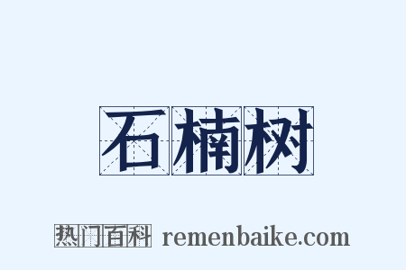 石楠树是什么意思的图片